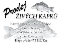 ikona obsahu Prodej živých kaprů 2012